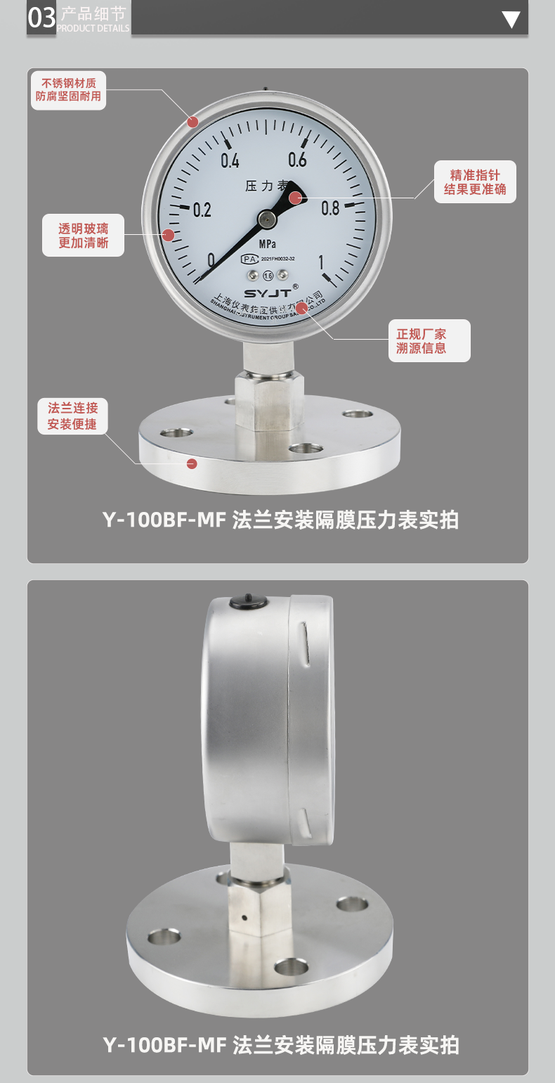 Y-100BF-MF-法兰安装隔膜压力表_06.png