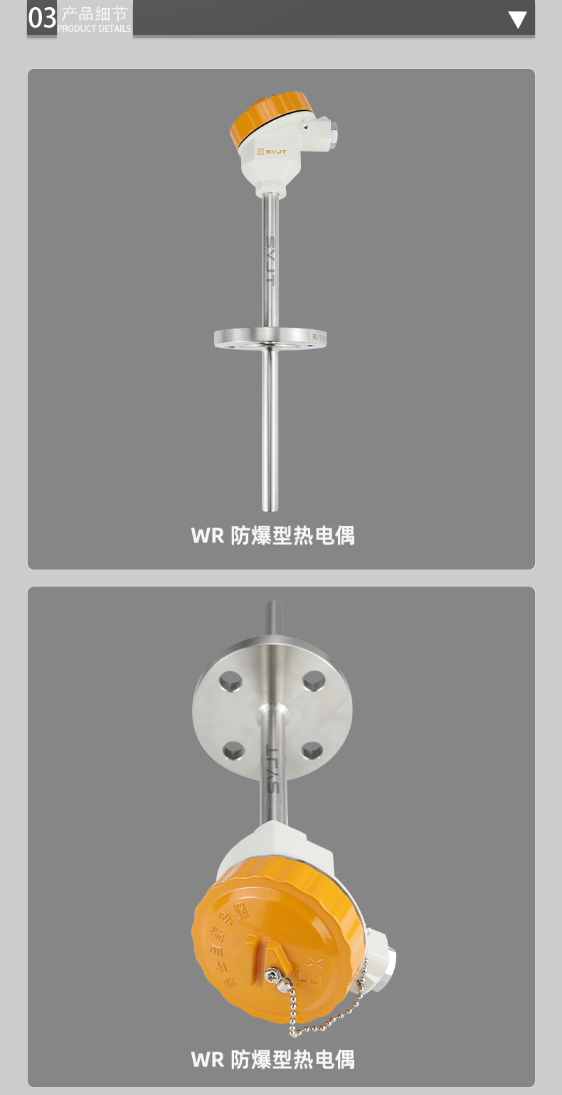 WR-防爆型热电偶_06.png