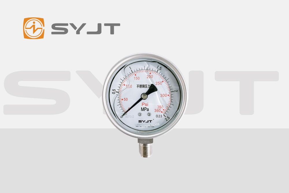 上仪集团耐震压力表实拍